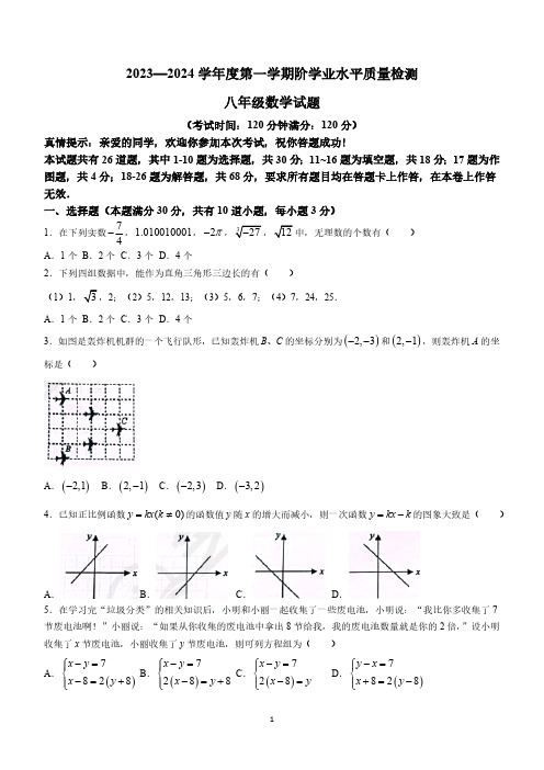 山东省青岛市市南区2023-2024学年八年级上学期期末数学试题(无答案)