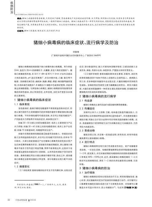 猪细小病毒病的临床症状、流行病学及防治