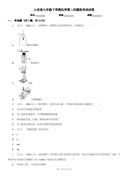 山东省九年级下学期化学第二次模拟考试试卷