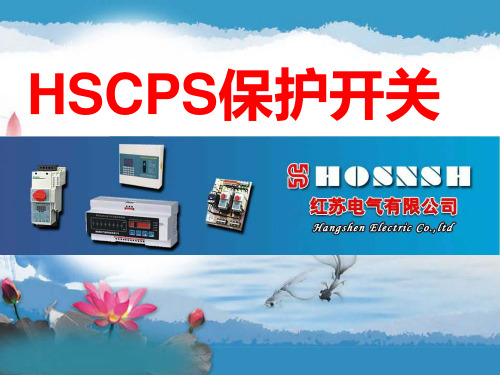 CPS-45C保护开关