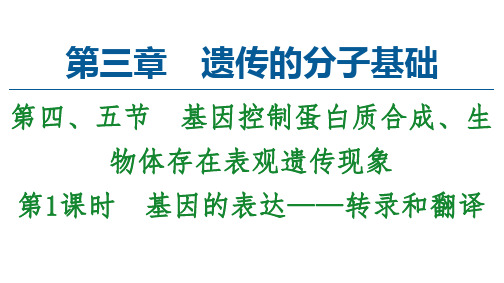 2022-2023学年浙科版(2019)必修二  3-4 基因的表达——转录和翻译  课件(61张)