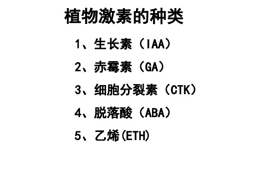 3.3其他植物激素ppt