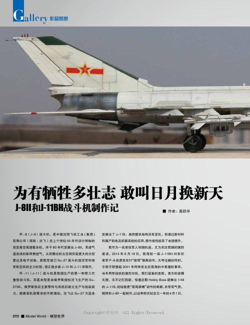 为有牺牲多壮志 敢叫日月换新天——J-8II和J-11BH战斗机制作记