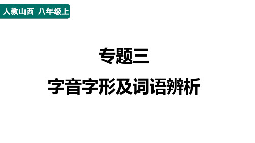 八年级语文上册专题三 字音字形及词语辨析作业