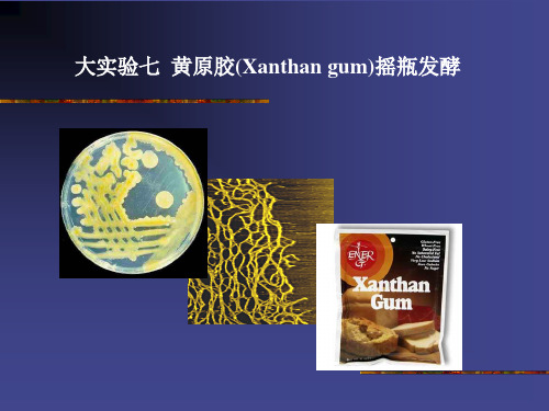 大实验七 黄原胶(Xanthan gum)摇瓶发酵