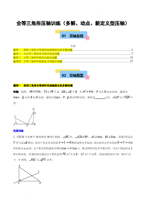 全等三角形压轴训练(多解、动点、新定义型压轴)(原卷版)—24-25学年八年级数学上册单元(人教版)