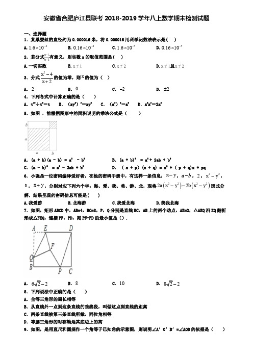 安徽省合肥庐江县联考2018-2019学年八上数学期末检测试题