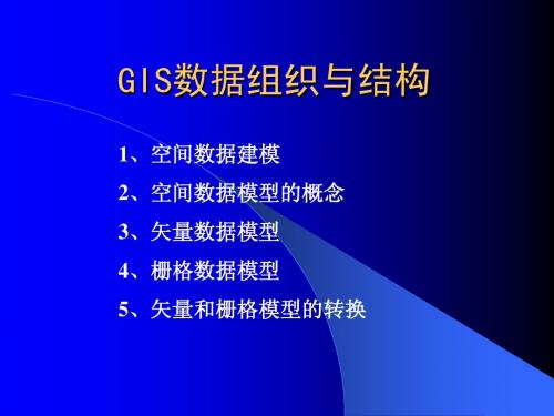 3 GIS数据组织与结构