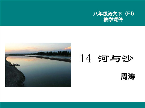 鄂教版初二语文下册《14.河与沙》课件