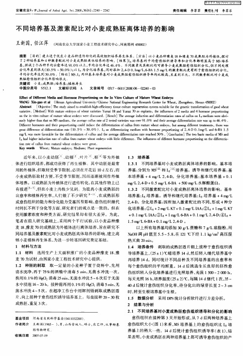 不同培养基及激素配比对小麦成熟胚离体培养的影响