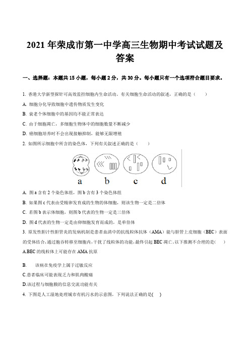 2021年荣成市第一中学高三生物期中考试试题及答案