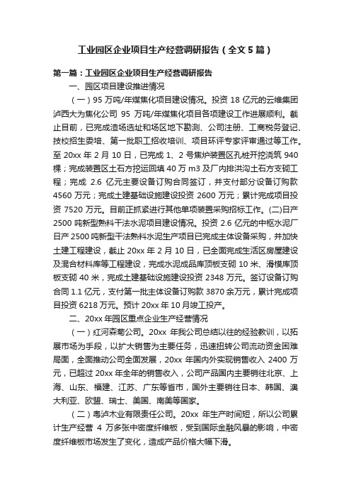 工业园区企业项目生产经营调研报告（全文5篇）