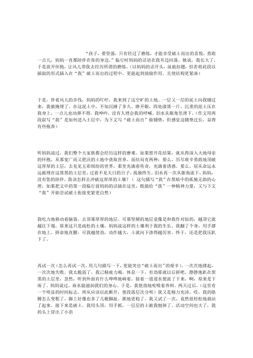 调整文章结构,力求行文紧凑