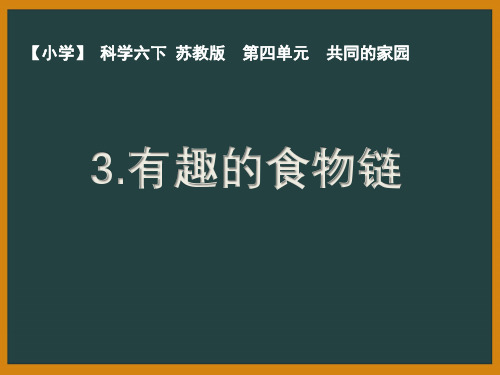 苏教版小学科学六年级下册第四单元《有趣的食物链》优秀PPT课件