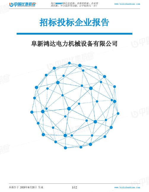 阜新鸿达电力机械设备有限公司-招投标数据分析报告