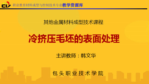 冷挤压毛坯的表面处理PPT资料优秀版