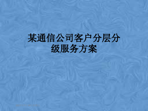 某通信公司客户分层分级服务方案