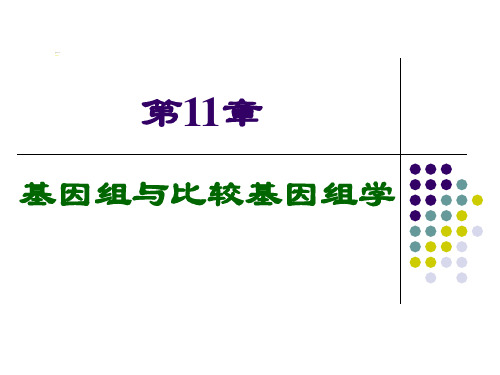 第11章-基因组学与比较基因组学