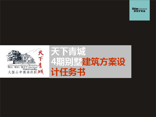 天下青城4期别墅建筑方案设计任务书31PPT