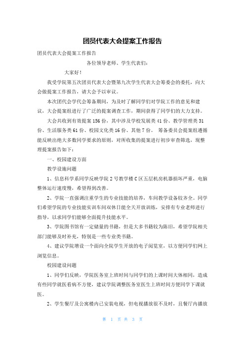 团员代表大会提案工作报告