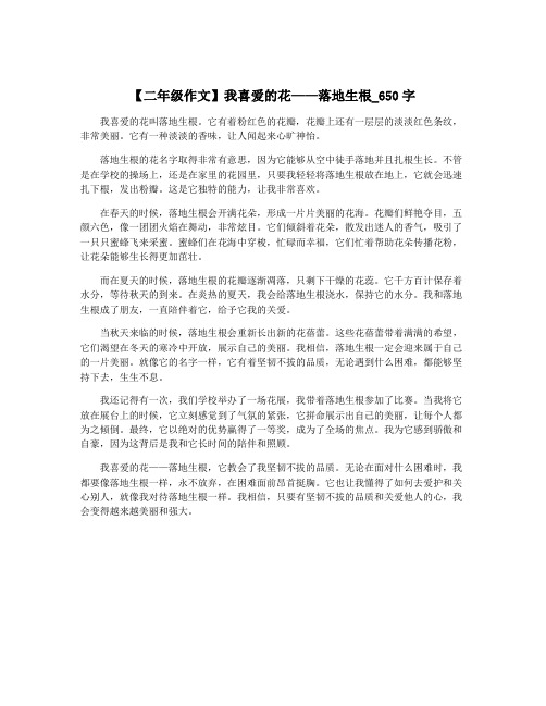 【二年级作文】我喜爱的花——落地生根_650字