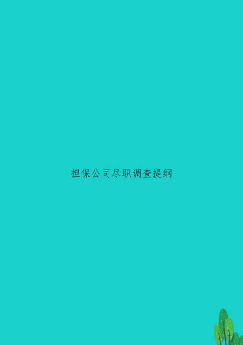 担保公司尽职调查提纲