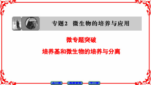 人教版高中生物选修一课件：专题2微专题突破培养基和微生物的培养与分离