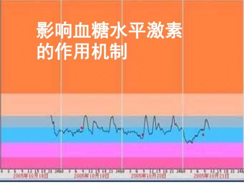 影响血糖水平激素的作用机制ppt课件