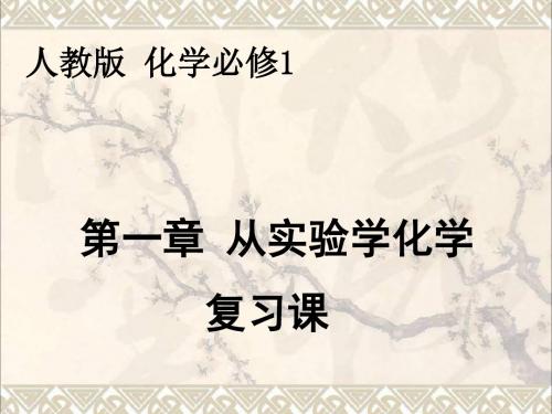 高中化学第一章从实验学化学复习课件新人教版必修1