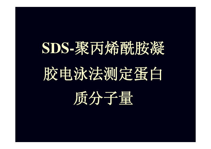 SDS-聚丙烯酰胺凝胶电泳法测定蛋白质分子量