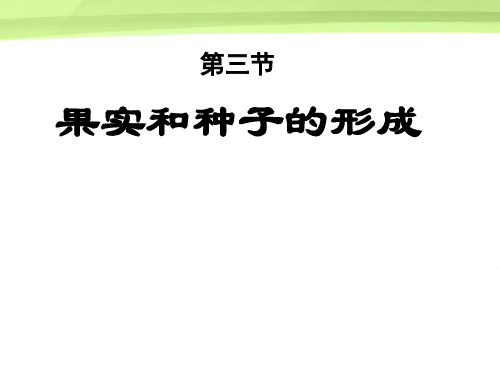 八年级生物上册 果实和种子的形成种子的结构