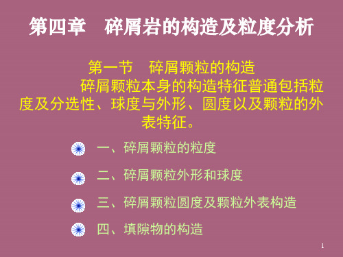 04第四章碎屑岩的结构及粒度分析ppt课件