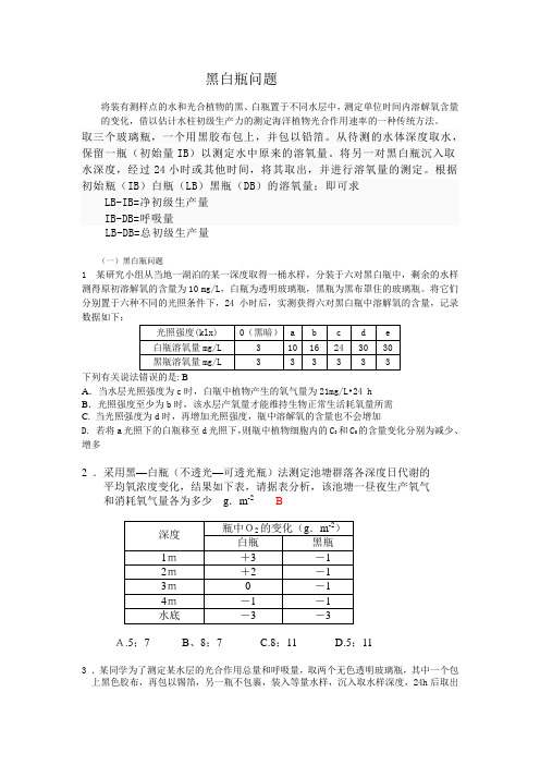 黑白瓶问题doc