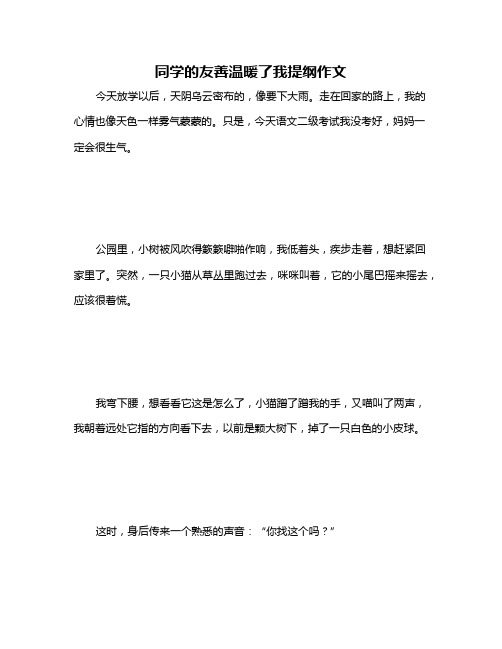 同学的友善温暖了我提纲作文