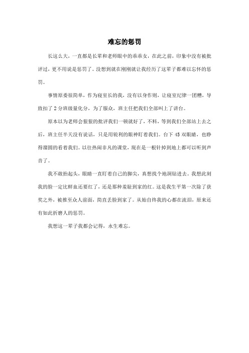 难忘的惩罚_初中初一作文350字