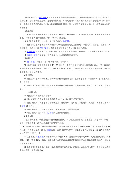 蔬菜水肥一体化膜下滴灌施肥技术