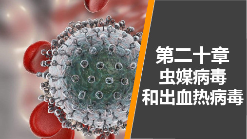 病原生物学与免疫学 第二十章