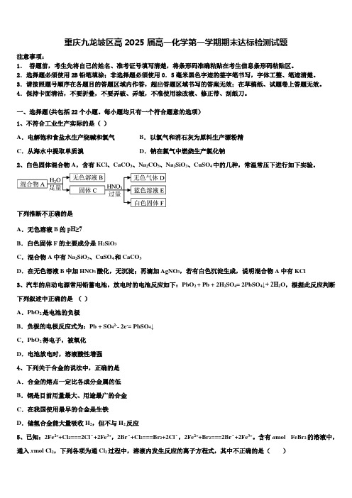 重庆九龙坡区高2025届高一化学第一学期期末达标检测试题含解析