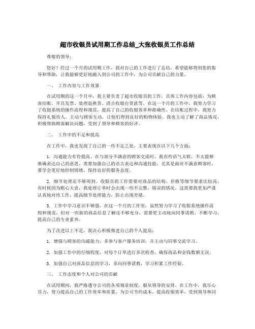 超市收银员试用期工作总结_大张收银员工作总结