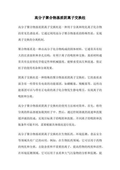 高分子聚合物基质阴离子交换柱