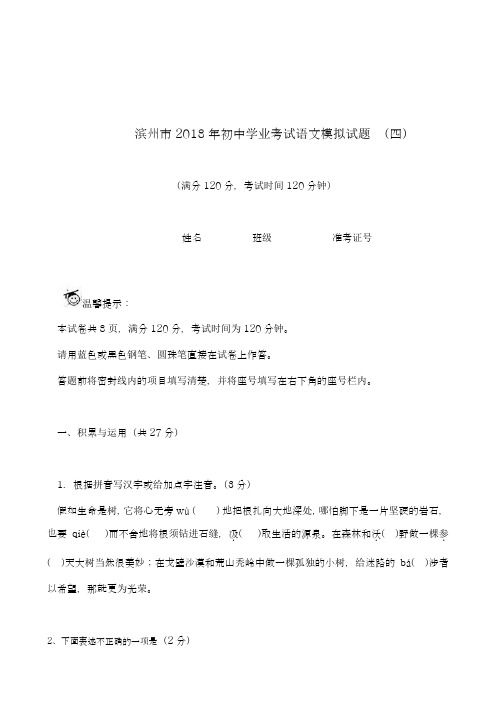 【中考零距离-优质试题】最新2018年山东省滨州市中考语文模拟检测试题及答案解析(四)