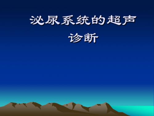 泌尿系统的超声诊断ppt课件