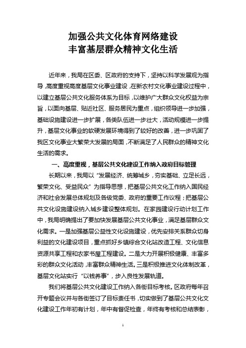 加强公共文化体育网络建设