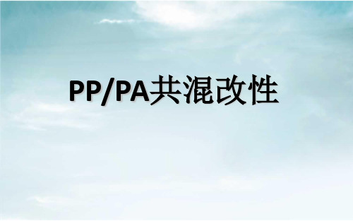 PP-PA共混改性