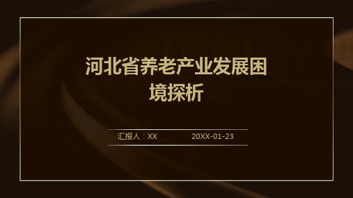 河北省养老产业发展困境探析