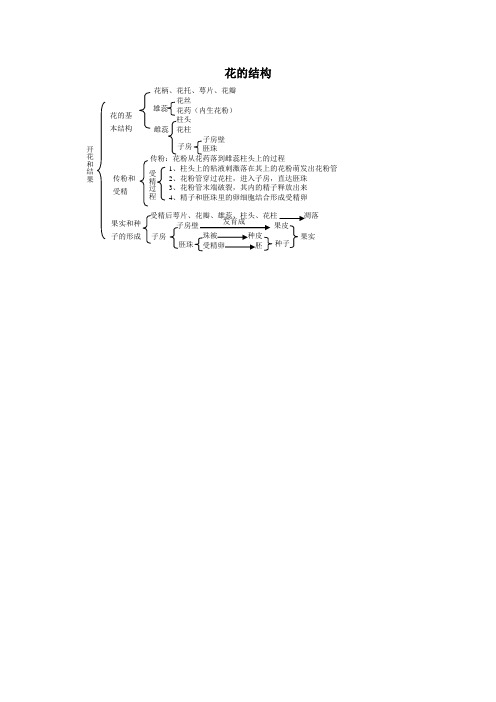 花的结构