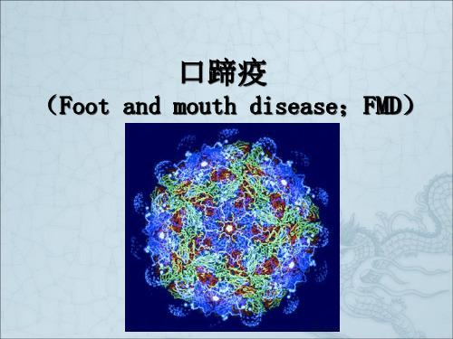 《猪口蹄疫》PPT课件