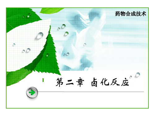 第二章 卤化反应