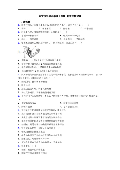 西宁市生物八年级上学期 期末生物试题