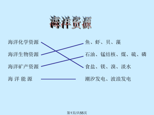 海洋资源与海洋环境保护PPT课件